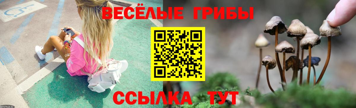 даркнет сайт  Псилоцибиновые грибы ЛСД  Галлюциногенные грибы Psilocybine cubensis  Вход с VPN  Минусинск 